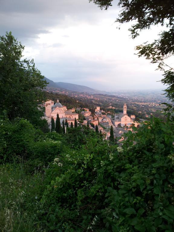 La Corte Degli Angeli Locazioni Turistiche Assisi Exterior photo